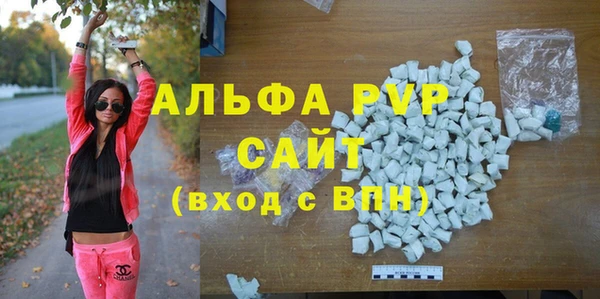 гашик Осинники