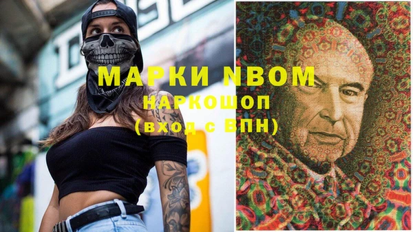 гашик Осинники