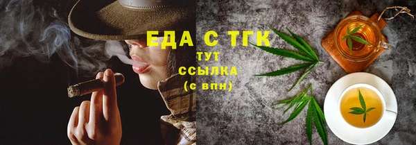 гашик Осинники