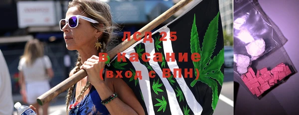 гашик Осинники