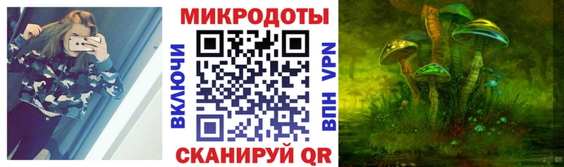Купить закладки  Севастополь  Псилоцибиновые грибы Psilocybe 